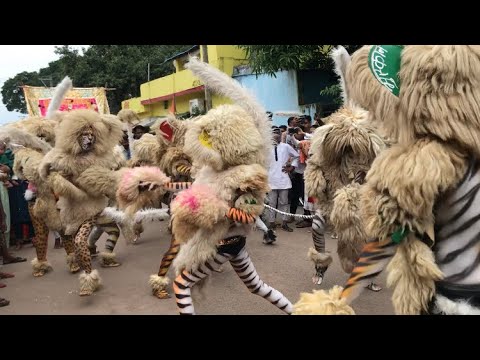 Rajnandgaon Muharram 2022  lion dance 2022 Mata Kripa Dhumal Durg   rjnmuharram2022  sher