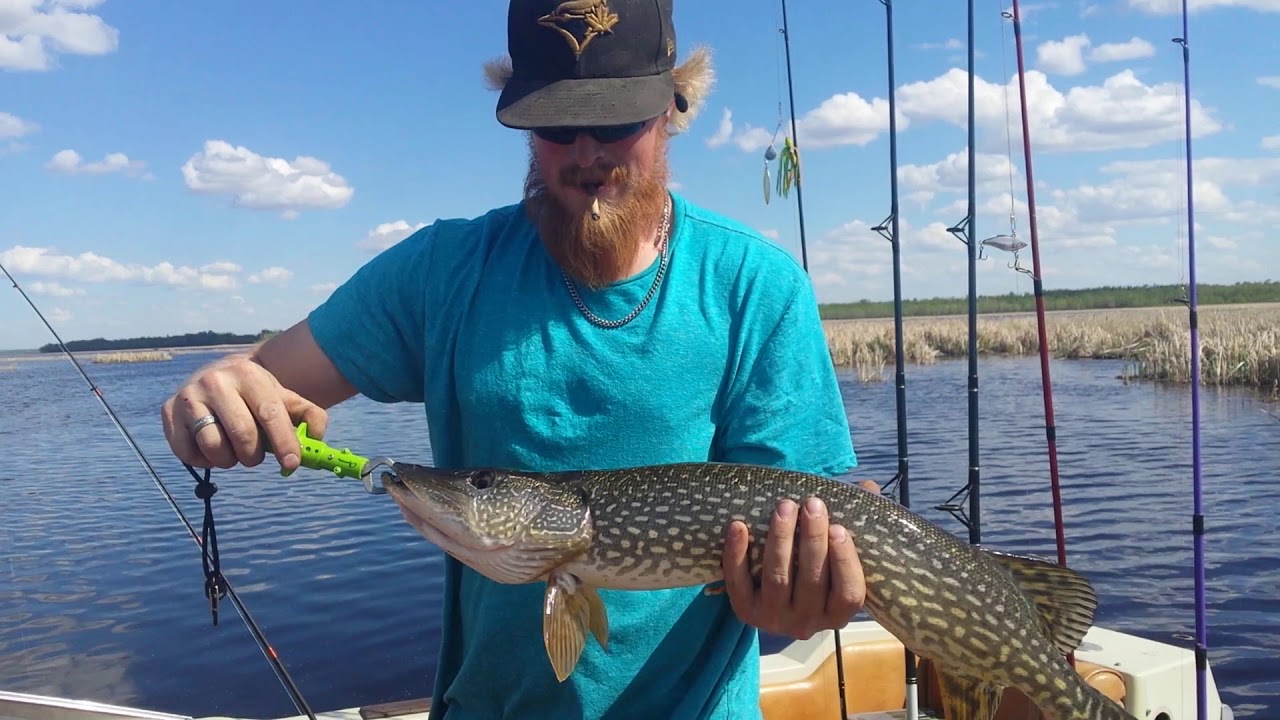 Pike fishing at Buffalo Lake YouTube
