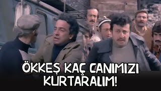 Aslan Bacanak (1977) - O Kız Halim Ayısının Kız Kardeşiymiş!