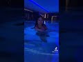 Sofì sirena! - Me contro Te TikTok
