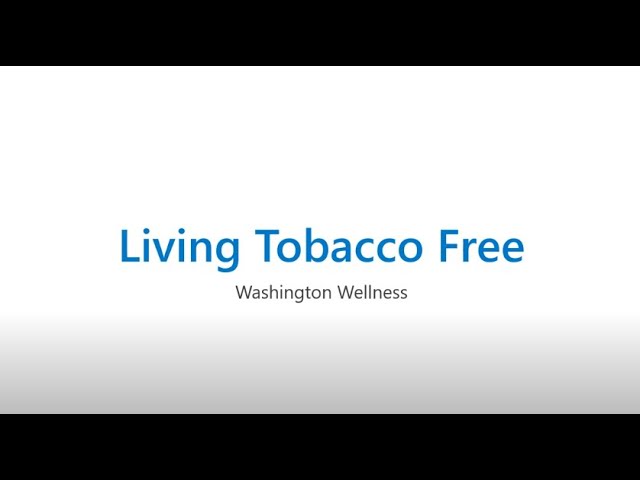 amish tobacco barn New Amish barn in Lancaster County for tobacco aging