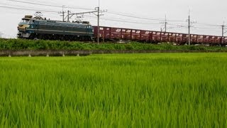 JR貨物EF66-27 東北本線貨物列車3064ﾚ