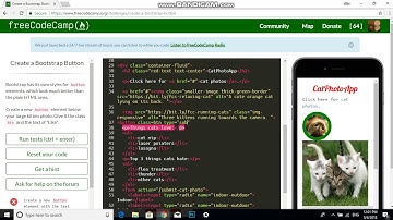 Create a Bootstrap Button free code camp