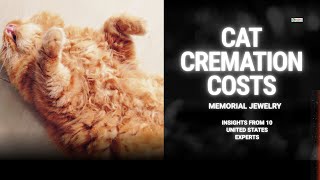 Cat Cremation Costs and Memorial Jewelry Insights from 10 United States Experts