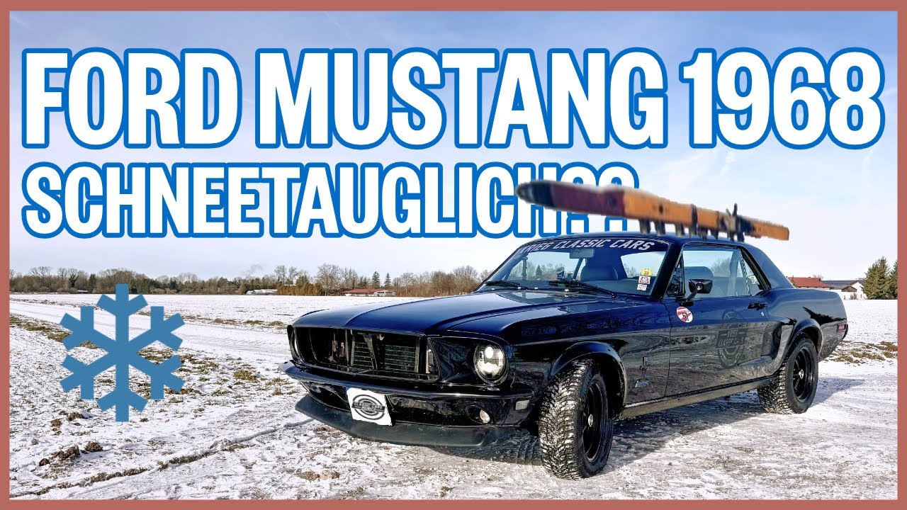 Schne Ford Mustang Wiki Ebenbild