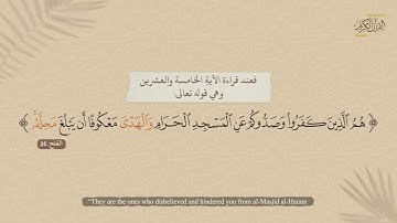 سورة الفتح | وأن أتلو القرآن
