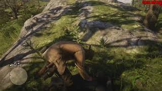 Red Dead Redemption 2 - PS4 - Coach Robbery #2