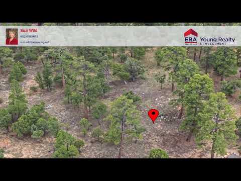 2961 Eagle Ridge Circle, Happy Jack, AZ home video tour