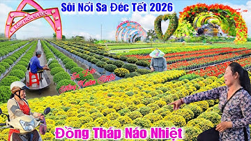 Sôi Nổi Sa Đéc Tết 2026 