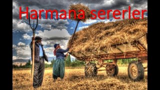 Harmana Sererler Sari Samani/Yöresel Halk Oyunu - Aynur İli̇m