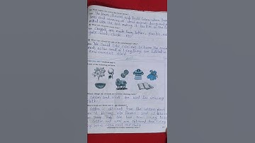 Class 3 EVS chapter -1 Our Environment Workbook question answers