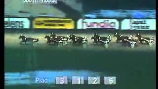 Sprintermästaren 2002 -Scarlet Knight