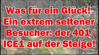 Was Fr Ein Glck Extrem Seltener Besucher Heute Der 401 Ice 1 Auf Der Geislinger Steige