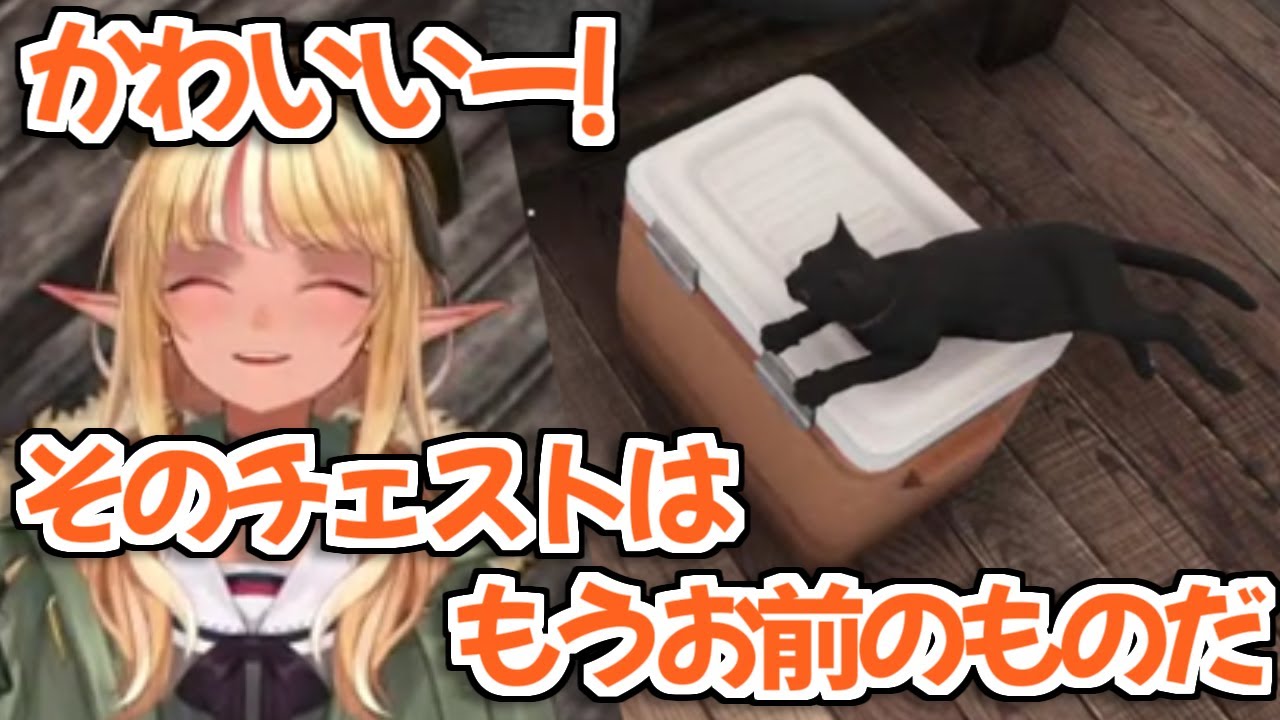 【ホロライブ切り抜き】リアル世界で猫を飼う前にもう既に猫下僕になってるフレアちゃんｗ【不知火フレア】