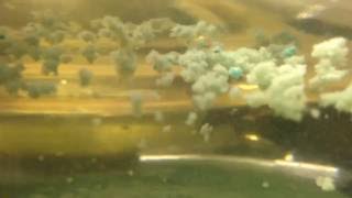 Karbon Çubuk Ve Bakır Teller Kaya Tuzlu Su