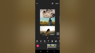 😍 EFFORTLESS: Cinematic Scrolling Video Collage Effect | Reels Trending Moving Video InShot Tutorial