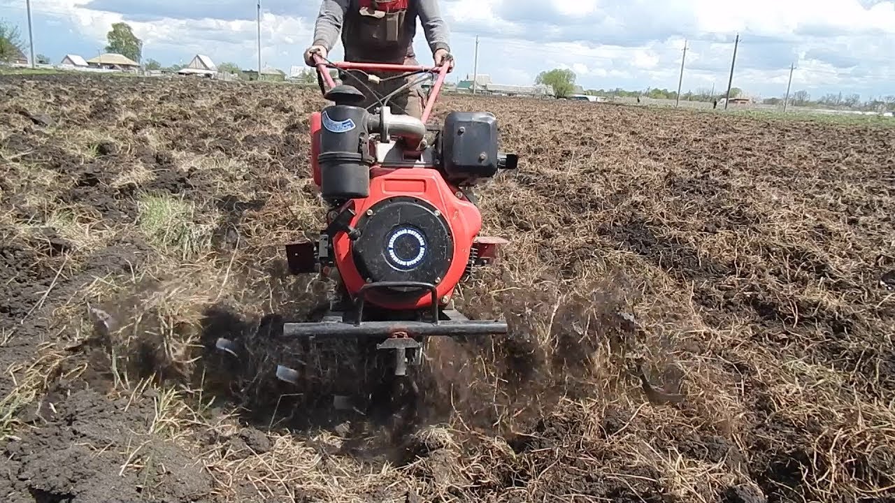 Целинный участок мотоблоком разрабатываю. - YouTube