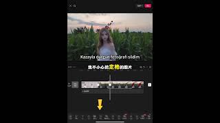 Çiçek yaprağı kaybolma efekti (Yabancı site gerektirmez!) (Materyal: Yulia) 🌸✨ #kurgunotları