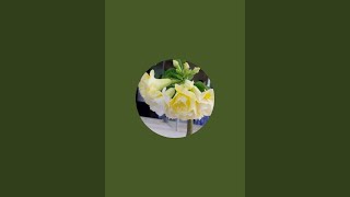 recanto das plantas vdl está ao vivo!