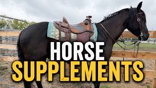 Horse Supplements That Actually Make a Difference