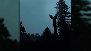 Billy Sane - What I Need (SLOWED)