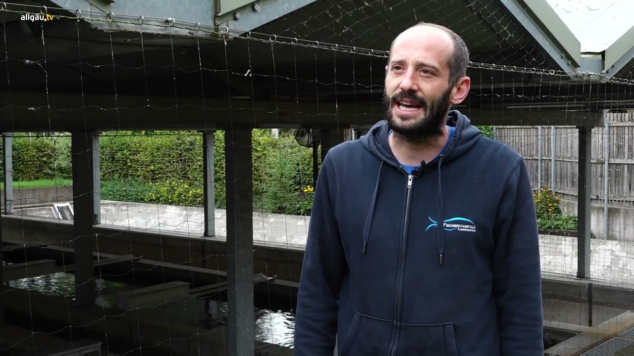 Fischerei am Bodensee – Ein traditionelles Handwerk in der Krise