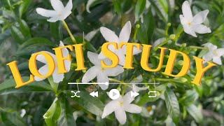Drifting Notes: Chill Lofi Piano for Studying & Relaxation - Gentle Ambient Music