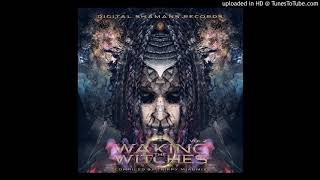 Insane Creatures - Raman Resonance