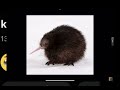1 Hour Kiwi Song Original By Irids mp3