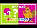 ПОЗНАЙ ЖИВОТНОТО (3) - динозавър 🦕, слонче 🐘, калинка 🐞, мече 🐻, пиленце 🐥 + още животни...