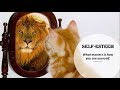 Understanding Self-Esteem