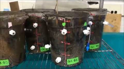 Prepping for WeMBA Experiments