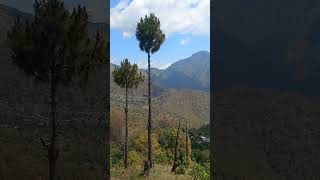 स्वर्ग जैसा नज़ारा: पहाड़ों की गोद में एक खूबसूरत सुबह! 🏔️✨ #Himalayas #Nature #Shorts