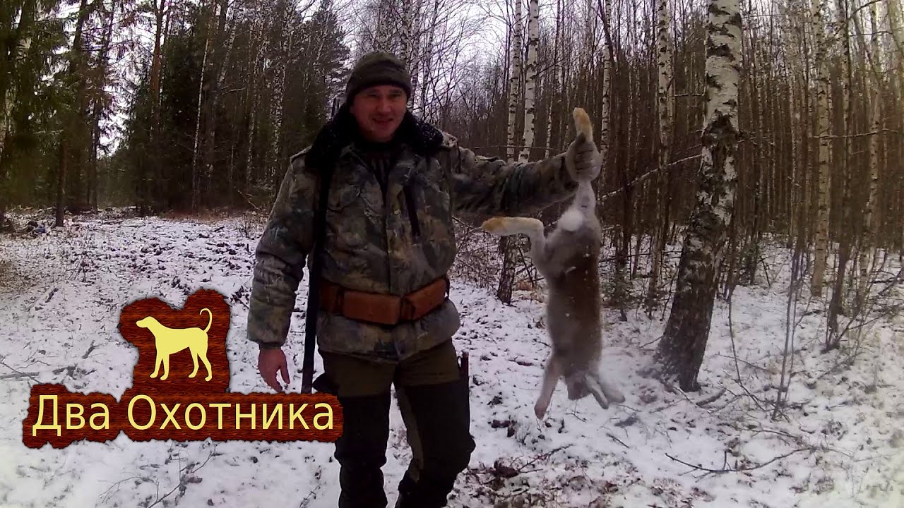 два охотника ютуб. два охотника ютуб. охота с гончими на зайца 2019. два охотника. два охотника ютуб.
