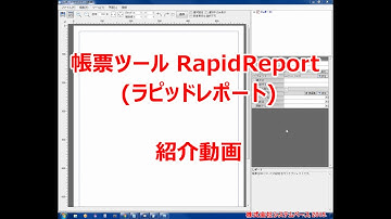 帳票ツール RapidReport 紹介動画