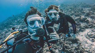 Scuba Diving with SHARKS in Hawaii!!
Scuba diving in Maui Hawaii with sharks was so much fun! We saw some many other animals underwater too! We had so much fun on the best Hawaii family vacation!
SPECIAL VIDEOS:
Birth Vlog Part 1: https://youtu.be/V_Dx4pKnnhE
Birth Vlog Part 2: https://youtu.be/Zs7NKtXr-zM
Our Babys Gender Reveal: https://youtu.be/kQx-Ji0M-R0
Draw Our Relationship: https://youtu.be/zS_d6Gu1JOI
TWEET, LIKE, and FOLLOW!
http://www.facebook.com/thewanderfamily
http://www.instagram.com/corbinadamscott
http://www.twitter.com/corbinadamscott
http://www.instagram.com/kelsemilyscott
http://www.twitter.com/kelsemilyscott
http://www.instagram.com/juniperemiscott
http://www.twitter.com/juniperemiscott
OUR BLOG:
http://www.thewanderfamily.com
OUR AMAZON STORE:
(Stuff you see in our vlogs)
https://www.amazon.com/shop/thewanderfamily-stepstowander
About Corbin and Kelsey:
We are a young couple wandering daily with our daughter Juniper and son Tabor. We explore everywhere and vlog everything: proposing in Europe, our wedding vlog, our baby gender reveal, the birth vlog of Juniper and Tabor, and all the fun traveling, adventures, camping, and special moments in between. We love living different lifestyles. We did the van life and traveled North America. We lived in a tiny apartment in the city. We did RV Life and traveled the west coast. We even lived in Hawaii for a month to try the Maui island lifestyle. Now, weve bought our first dream home fixer upper homestead and remodel and renovate it from top to bottom! While living these different lifestyles, though, we always try to stay happy in the present!
Thats why our motto is: Be where your feet are. Scuba Diving with SHARKS in Hawaii!!