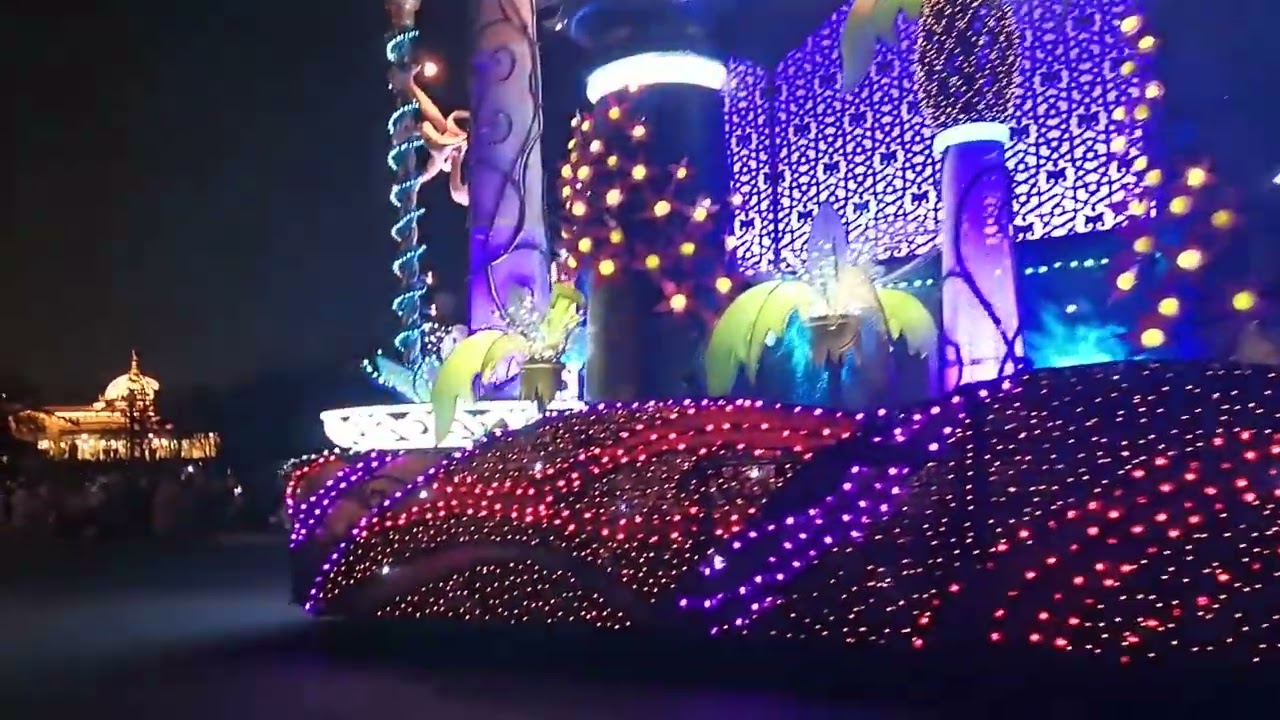 Tokyo Disneyland Dreamlights(6)