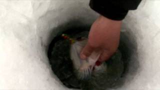 Tony Roach Fishing Report - 2/21/12