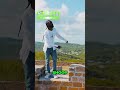 Singer Dances on Wall with Band: Concert Highlights You Won't Forget! #shorts