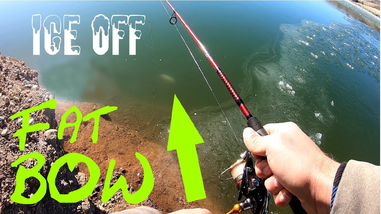 OTTER CREEK ICE OFF! FAT Rainbow Utah fishing 2020 YouTube