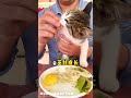 刀架猫脖子上也不说的六件事#猫咪饲养指南 #怎么养出健康小猫 #养猫经验分享 #养猫小知识 #我的小猫