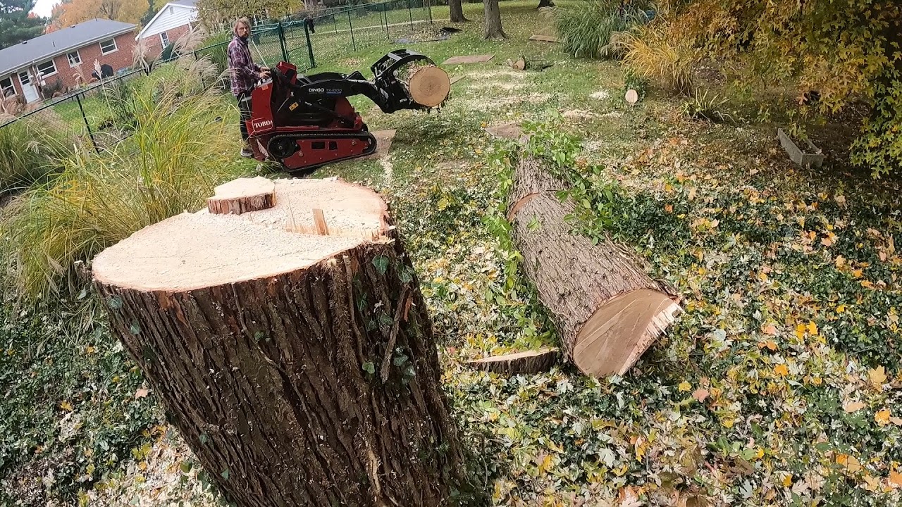 new Stihl ms 880 Ripsaw ported