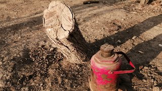 How to remove the stump of a felled tree with hydraulic jack