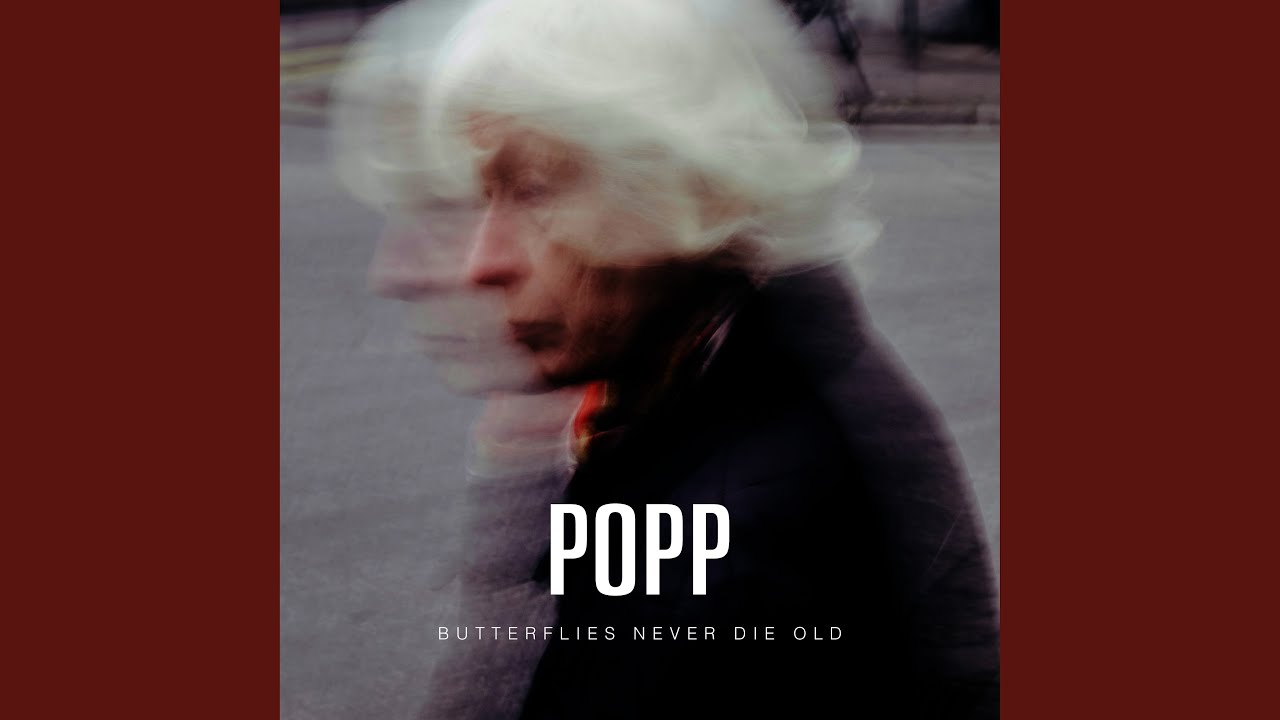 Watch Butterflies Never Die Old on YouTube Watch Butterflies Never Die Old on YouTube