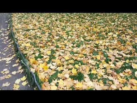 Сад Фонтанного дома Анны Ахматовой. Санкт-Петербург