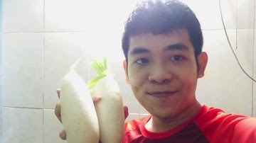 Trung Nam Thu Hoạch Rau Củ Su Hào Full