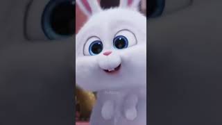 Download Lagu JK And SnowBall Same Pic #snowbunny #jungkook #bts MP3 Download Lagu JK And SnowBall Same Pic #snowbunny #jungkook #bts MP3