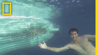 クジラと記念撮影 | ナショジオ