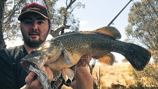 MURRAY COD opening 2021 Wealth