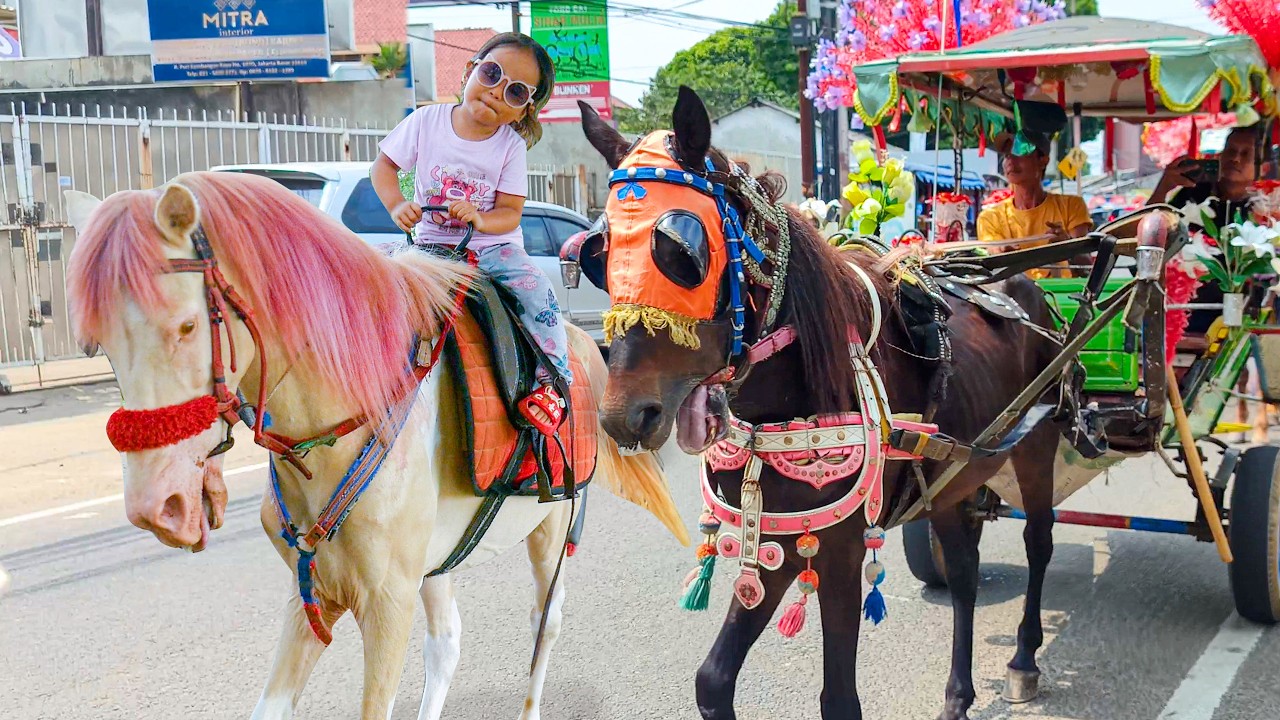 NAIK DELMAN ISTIMEWA 🐎 LAGU ANAK ANAK - KUDA DELMAN